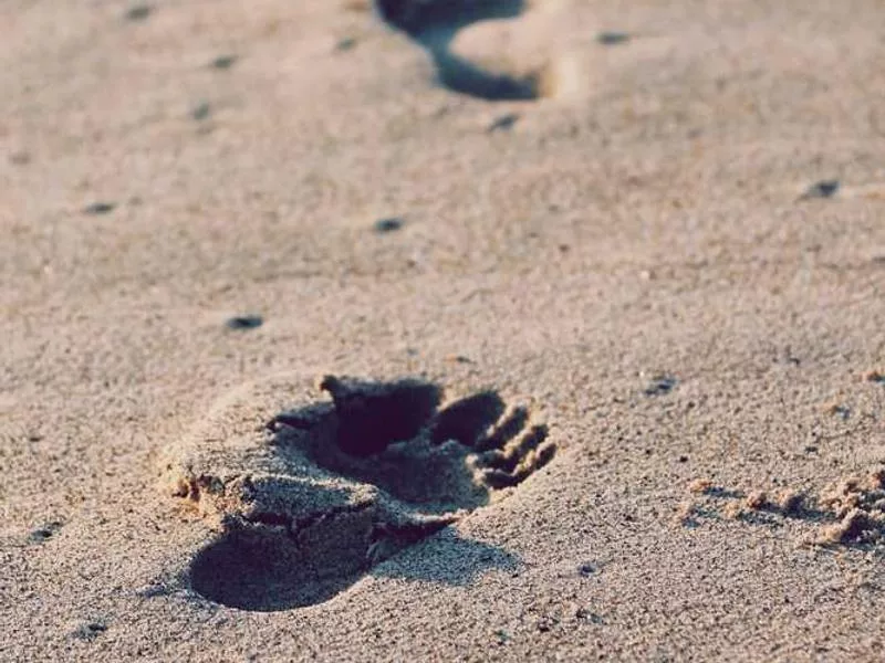 伊斯蘭教如何祝福新生兒？