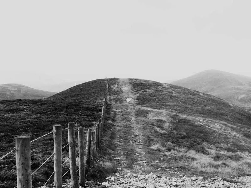 伊斯蘭教的蘇非派有特別儀式嗎？