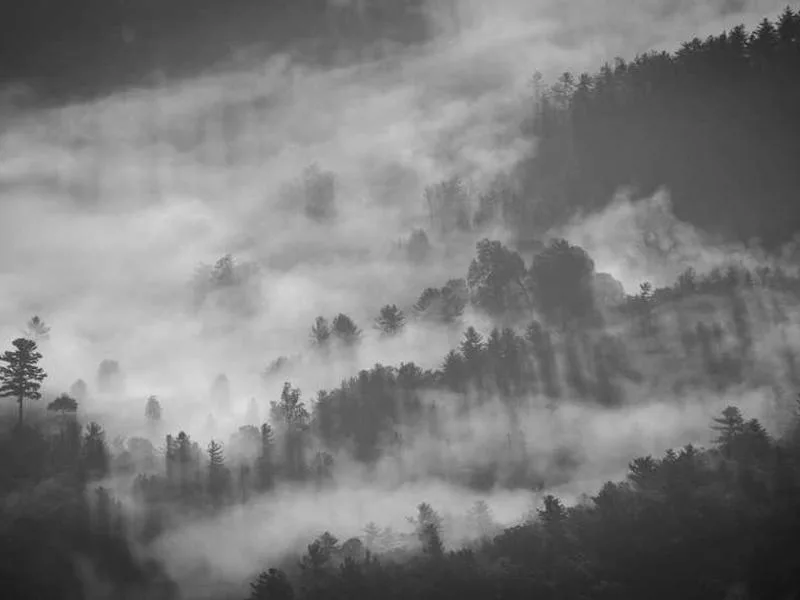 印度教儀式是否一定需要祭司？