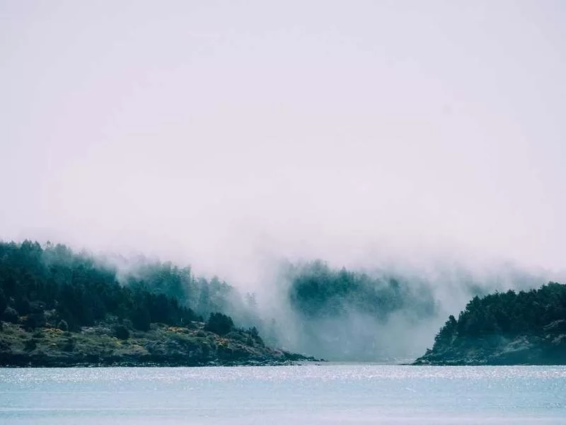 印度教的宗教婚禮如何舉行？