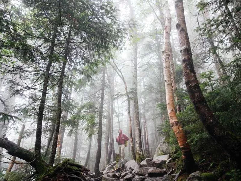 印度教的苦修節日有哪些？