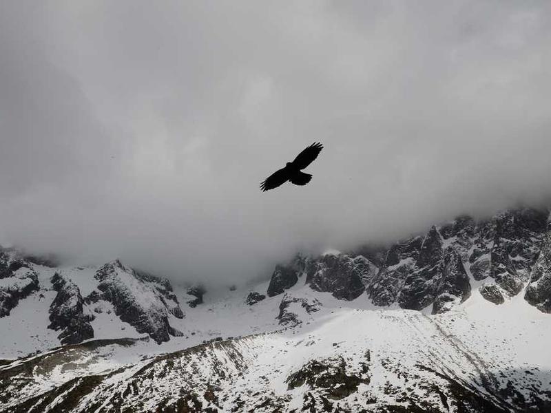 宗教儀式如何反映文化價值？