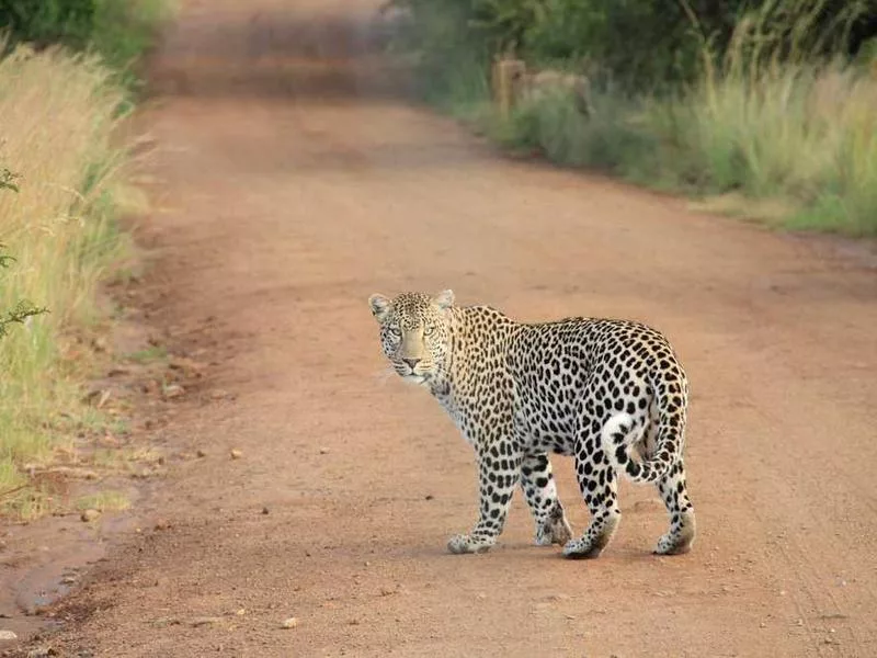宗教儀式是否可能走向虛擬化？
