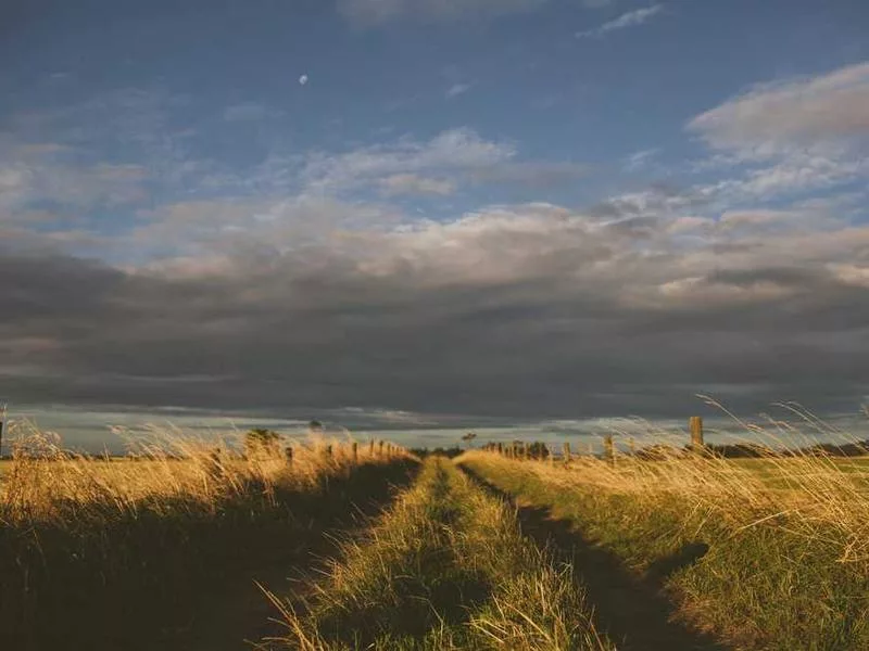宗教祭典是否應該與政治分離？