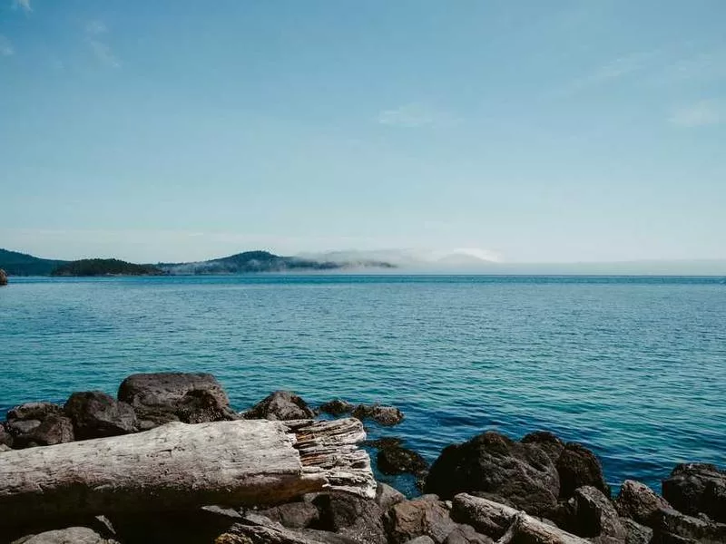 東正教禮儀與天主教有什麼不同？