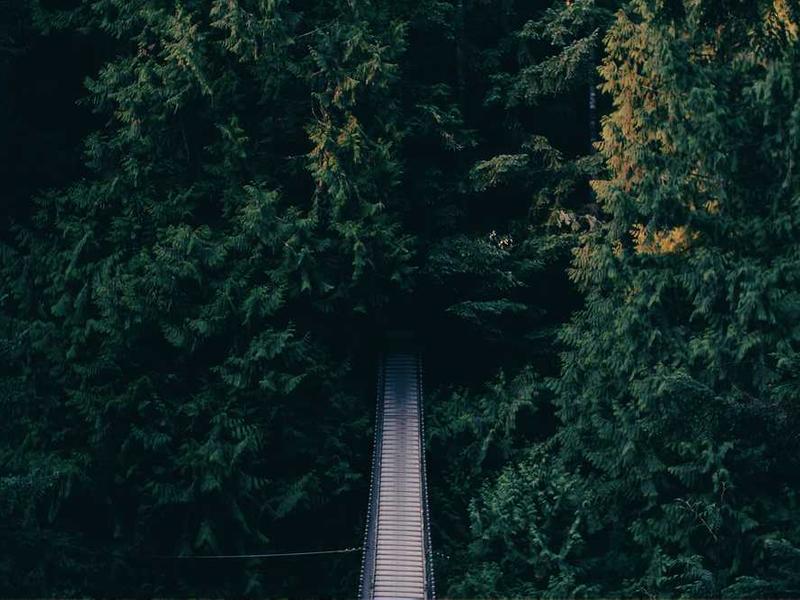 澳洲原住民的夢境儀式是什麼？