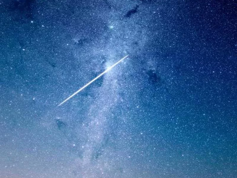 為什麼世界各地都存在豐收祭？