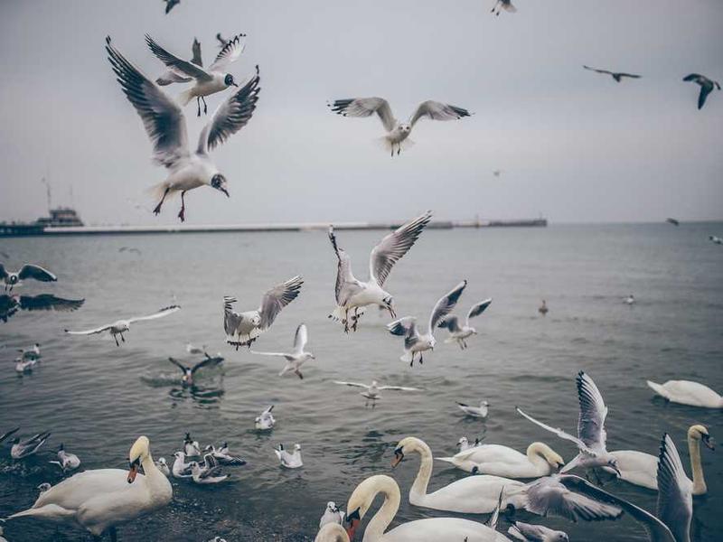 祭典與農業週期的關係是什麼？