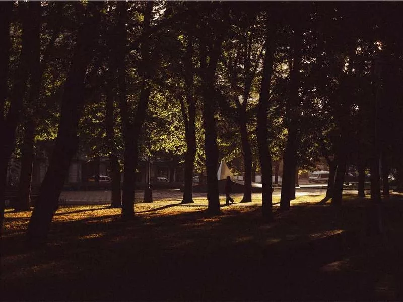 穆斯林婦女在宗教儀式中的角色是什麼？