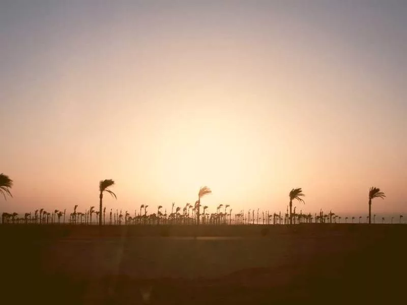 苗族的花山節有什麼儀式？