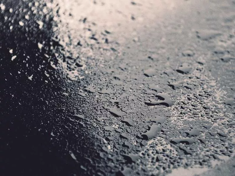 藏傳佛教的天葬有什麼宗教含義？