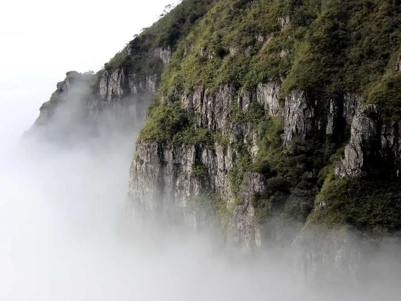 道教中壇城佈置有何規範？