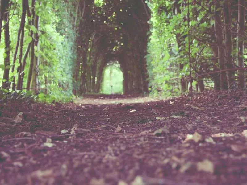 道教科儀中的誦咒作用是什麼？