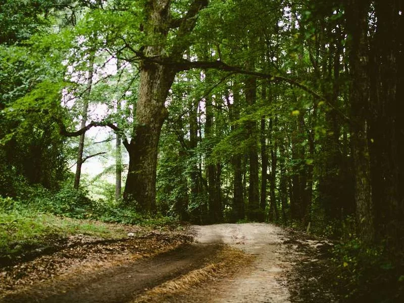 非洲薩滿儀式為什麼常伴隨擊鼓？